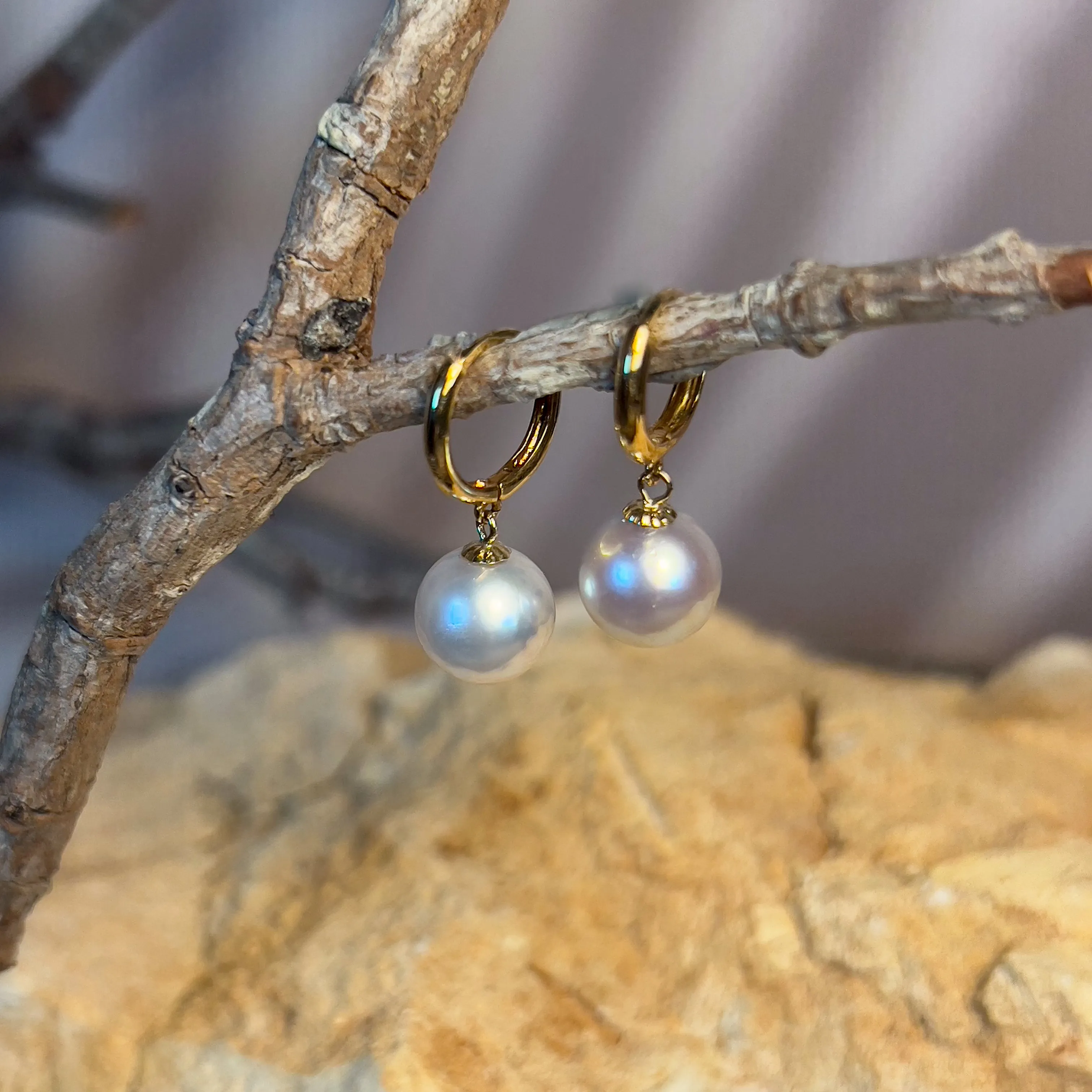 18kt Yellow Gold Huggie round dangling earrings 8-8.5mm South Sea White Pearls