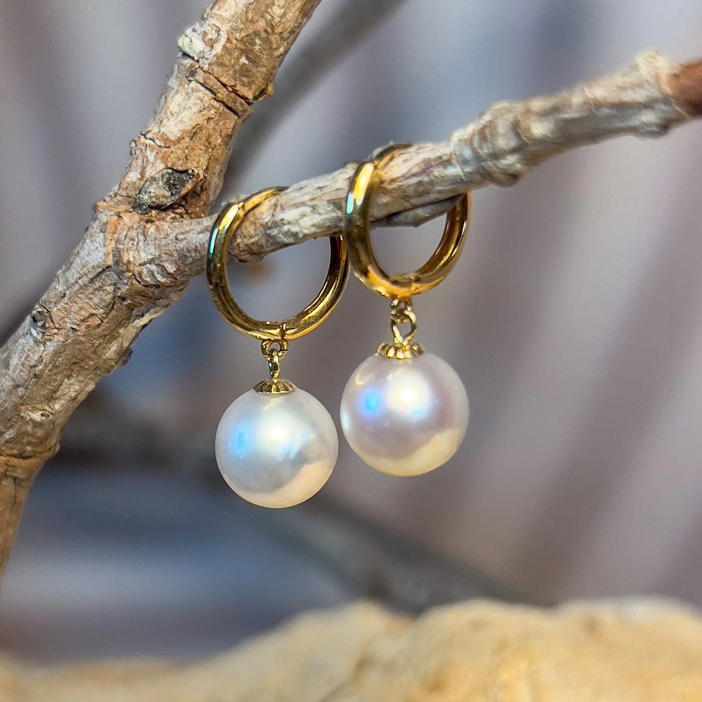 18kt Yellow Gold Huggie round dangling earrings 8-8.5mm South Sea White Pearls