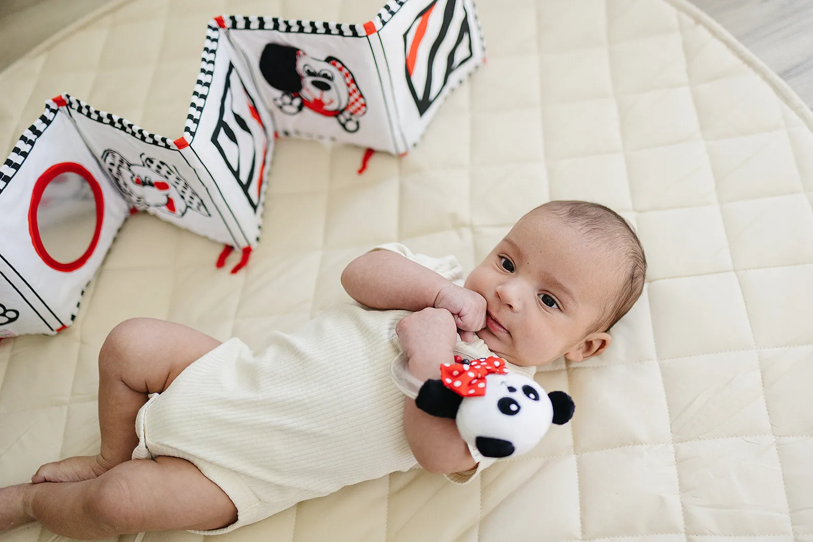 Baby Rattle in High-Contrast Black, White, Red