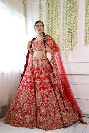 Red Raw Silk Embroidered Lehenga Set