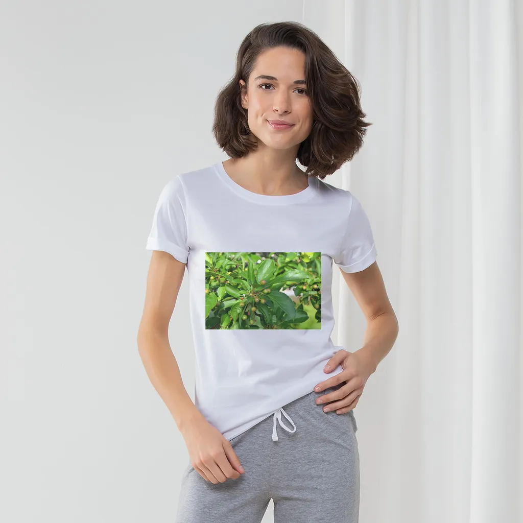 Tree with Seeds Women's Long Pant Pyjama Set